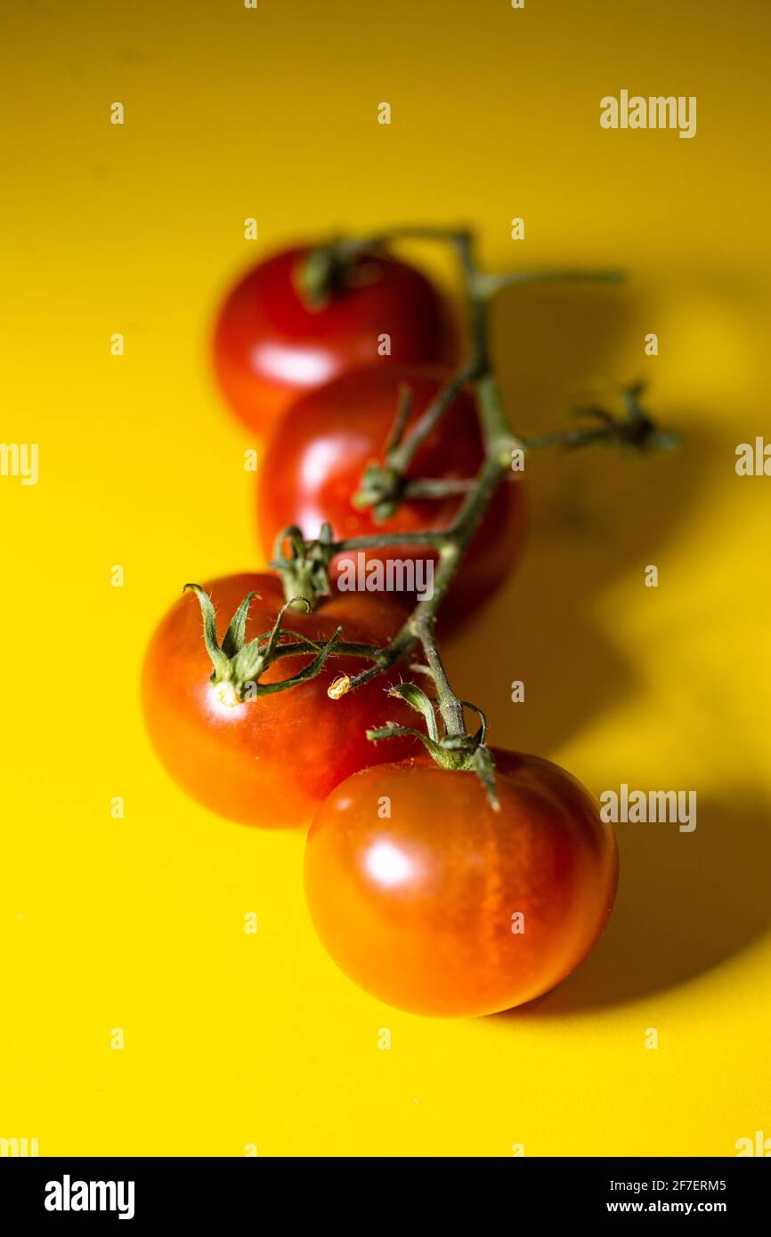 Ein Zweig aus roten Tomaten auf gelbem Hintergrund Stockfoto
