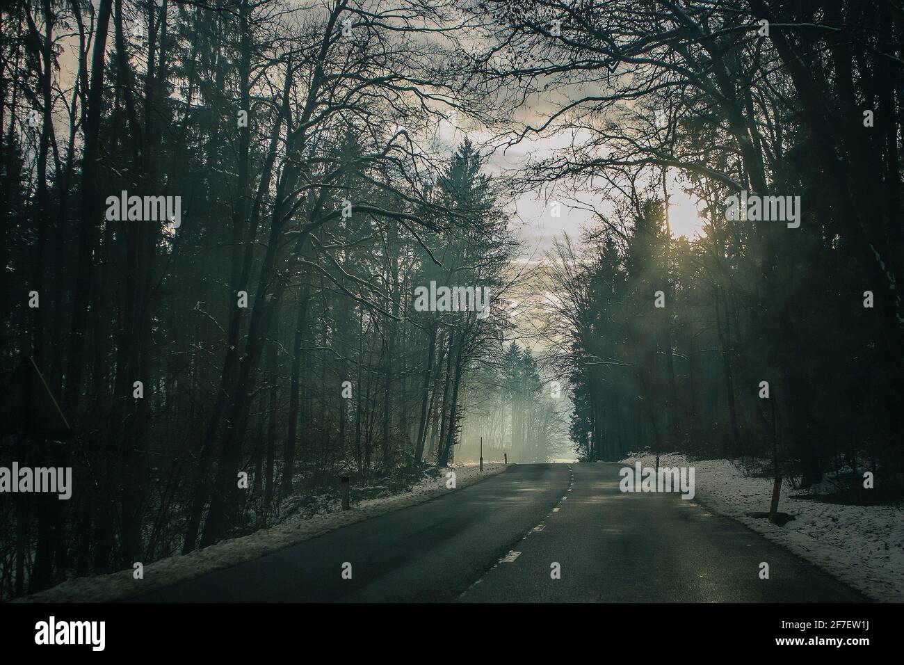 Winter Asphaltstraße schlängelt sich durch den Wald. Gefährliches Kopflicht und ein blinder Fleck auf der Straße im Wald. Stockfoto