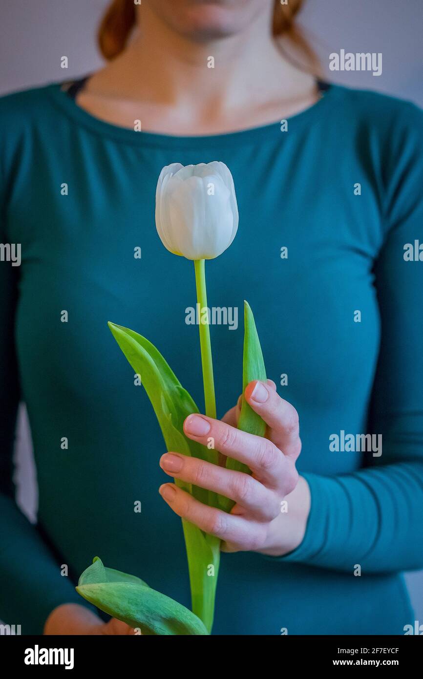 Eine Frau mit Tourquise-Oberteil hält eine weiße Tulpe in ihren Händen. Mothers Mother's day Concept photo - Geben aus aflower Gegenwart. Stockfoto