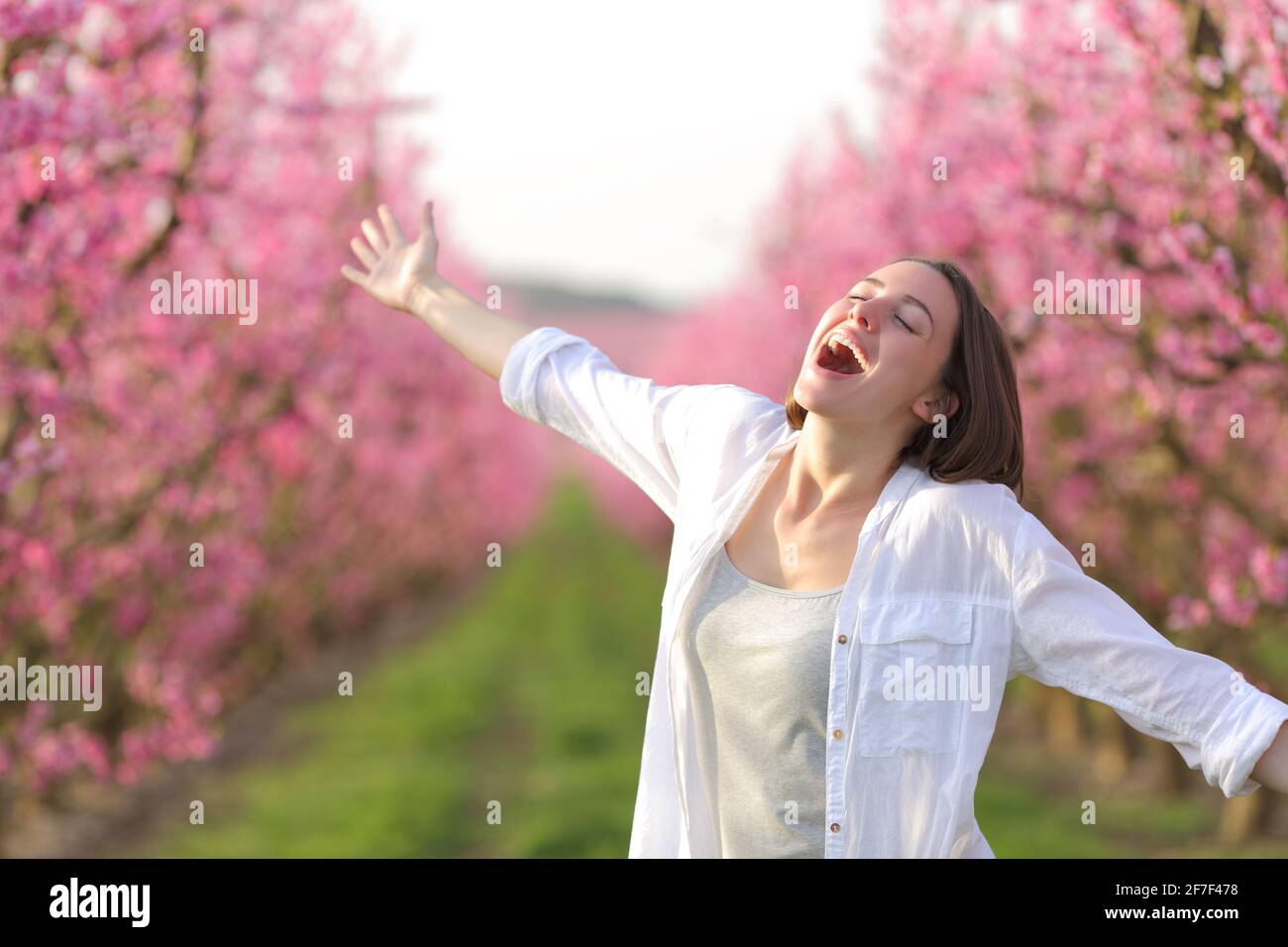 Aufgeregt Frau Strecken Arme feiern Frühling und Urlaub in einem Rosafarbenes Blumenfeld Stockfoto