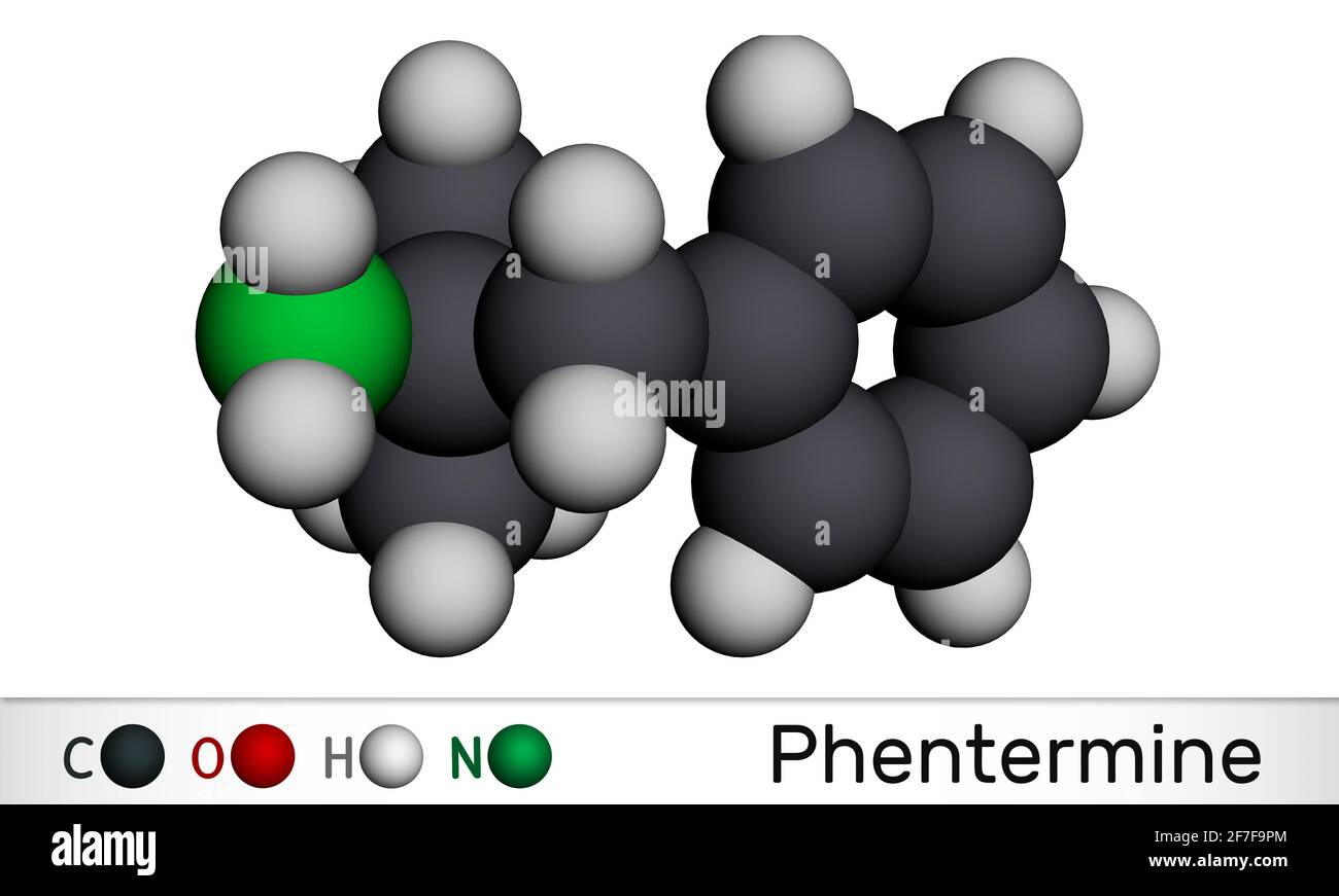 Phentermin, Molekül. Es ist ein natürliches Monoamin-Alkaloid-Derivat, sympathomimetisches Stimulans mit Appetitzügler Eigenschaft. Molekularmodell. 3D Stockfoto