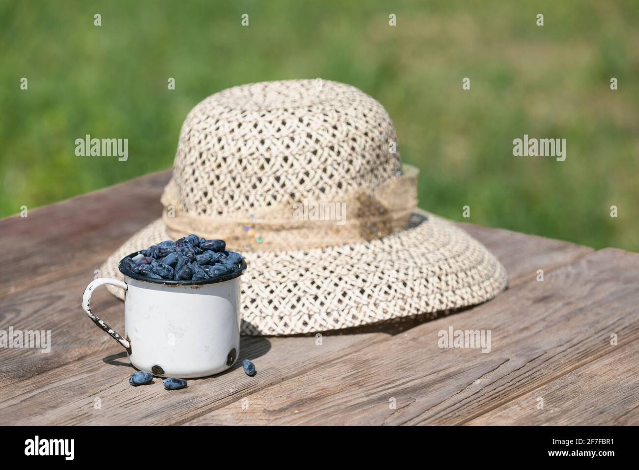 Blaue reife Geißelbeeren in Schale auf Holztisch Hintergrund mit Copyspace. Selektiver Fokus Stockfoto