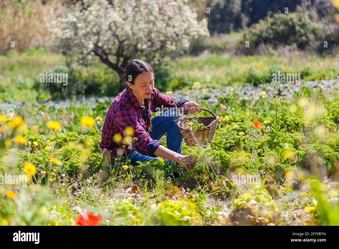 Ehrliches Porträt einer natürlichen Frau, die auf einem Bio-Bauernhof in einer schönen sonnigen Landschaft arbeitet; Konzept für nachhaltige Landwirtschaft und Lebensstil Stockfoto