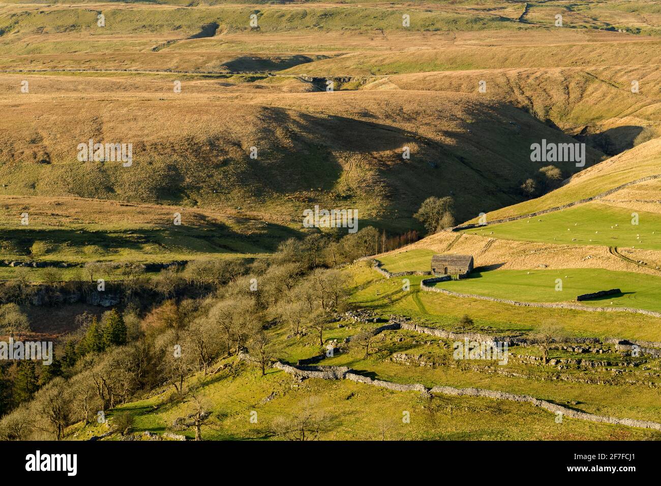 Malerische sonnige Wharfedale-Landschaft (Hochlandfjälle, Steinscheune, steile Hügel, Kalksteinwände, Schafe weiden Weiden) - Yorkshire Dales, England, Großbritannien. Stockfoto