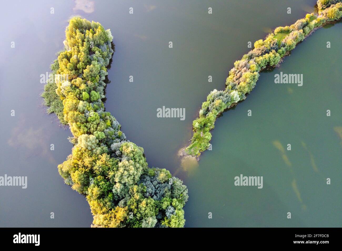 Luftaufnahme des Süßwassersees mit Insel, Sommerlandschaft. Insel mit grünen Bäumen im Seenwasser, Blick von oben Stockfoto
