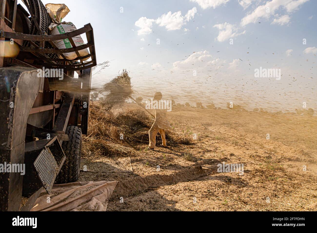 indische Farmer Ernte in Drosseln Maschine, schöne Wolken im Hintergrund. Stockfoto