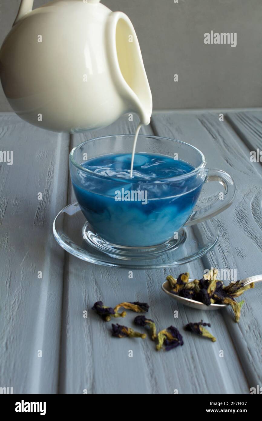 Blauer thai-Tee mit Milch in Glasbecher auf grauem Hintergrund. Nahaufnahme. Stockfoto