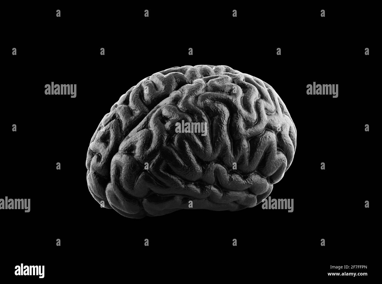 Schwarzes menschliches Gehirnmodell isoliert auf schwarzem Hintergrund mit Clipping Pfad Stockfoto