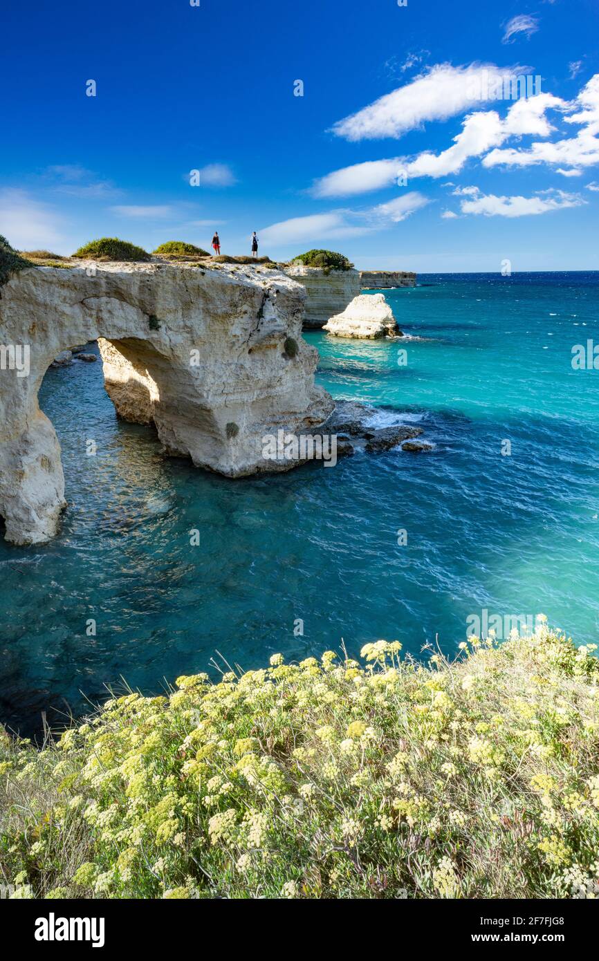 Touristen bewundern das Meer von natürlichen Steinbogen auf Klippen, Torre Sant'Andrea, Provinz Lecce, Salento, Apulien, Italien, Europa Stockfoto