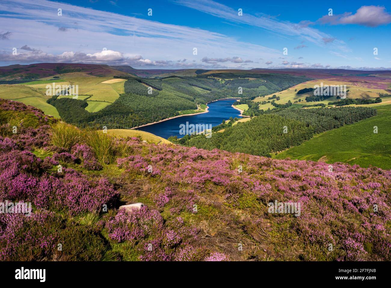 Blick auf das Upper Derwent Reservoir und die blühende Heide im August von Derwent Edge, Peak District National Park, Derbyshire, England, Großbritannien Stockfoto
