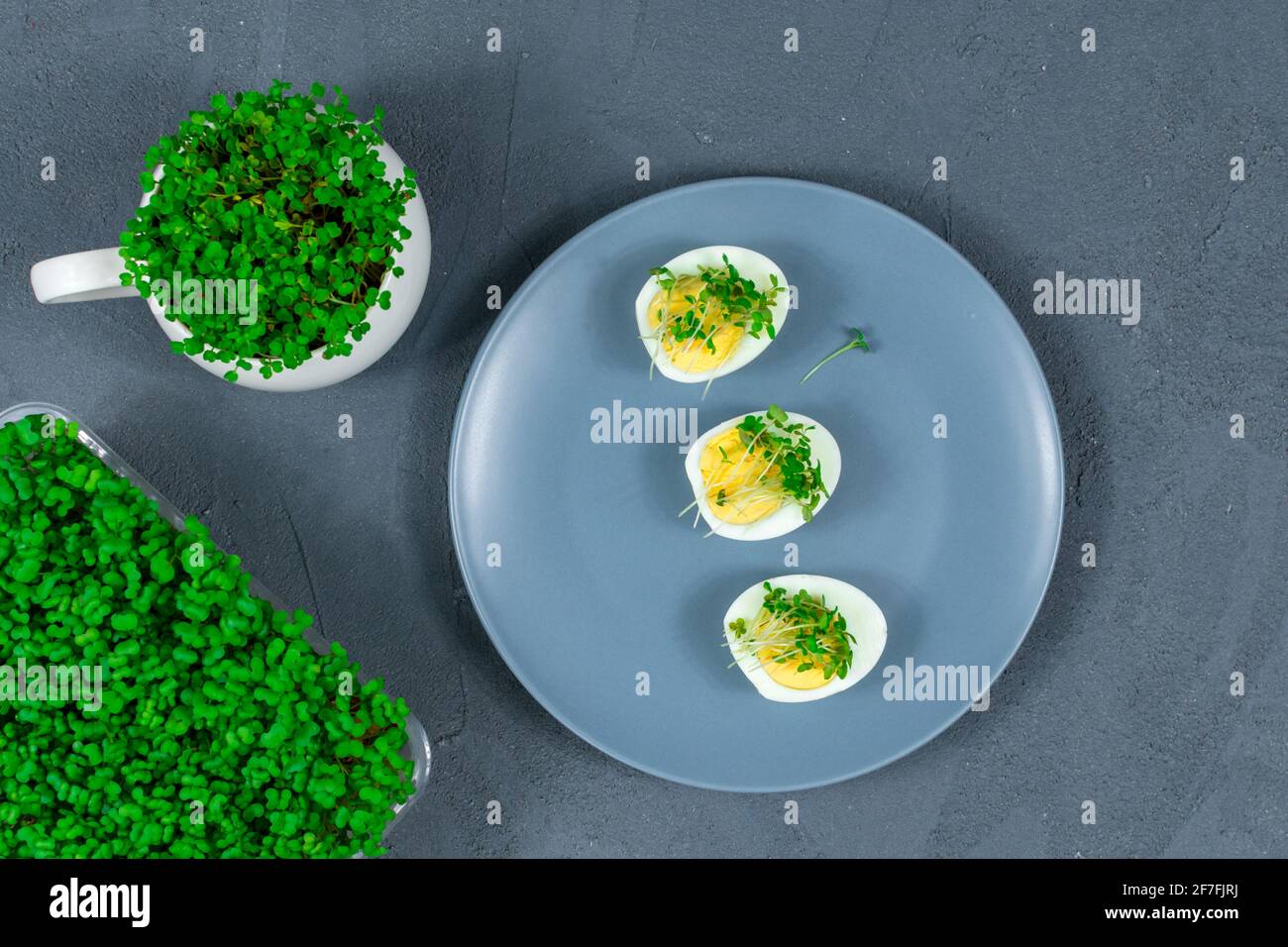 Microgreens auf Eiern. Diät-Essen. Gekochte und frische Eier auf einem Hintergrund von frischen knusprigen Microgreens. Blick von oben. Stockfoto