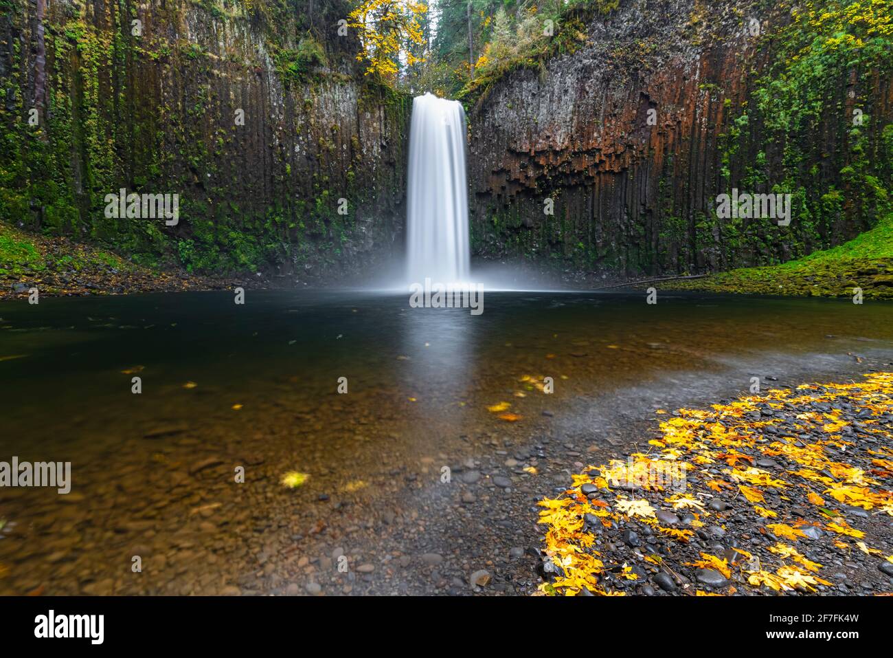 Abiqua Falls im Herbst, Scotts Mills, Marion County, Oregon, Vereinigte Staaten von Amerika, Nordamerika Stockfoto
