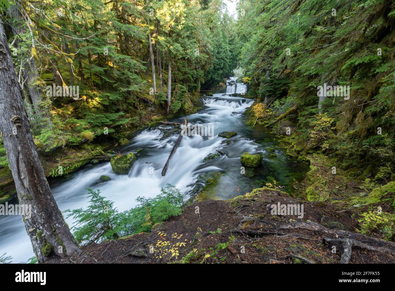 Sahalie Falls im Herbst, McKenzie Bridge, Lane County, Oregon, Vereinigte Staaten von Amerika, Nordamerika Stockfoto