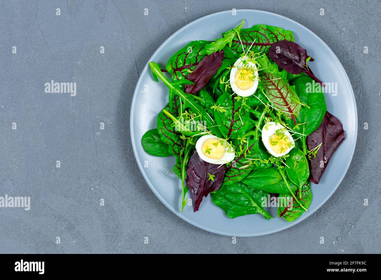 Microgreens auf Eiern. Den Salat mit mikrogrünen Blättern dekorieren. Diät-Essen. Gekochte und frische Eier neben frischen knusprigen Kräutern. Moderner Salat Stockfoto