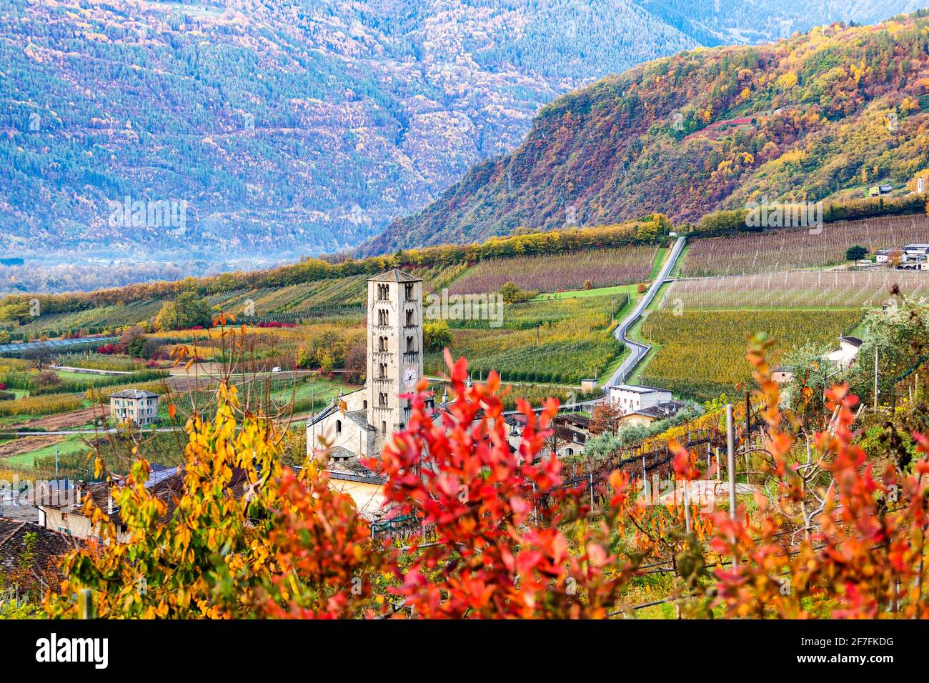 Ländliche Kirche in den Weinbergen und Apfelplantagen, Valtellina, Lombardei, Italien, Europa Stockfoto