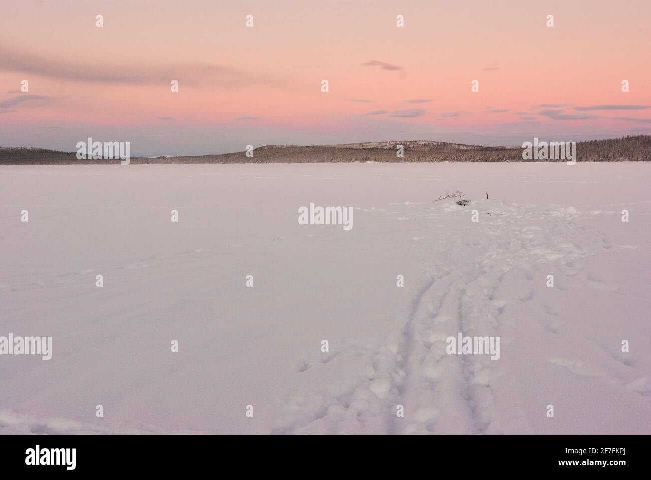 Die gefrorene Oberfläche des Flusses Torne, in der Nähe von Jukkasjärvi, Kiruna, Schweden, Polarkreis, Mit einem rosa Winterhimmel und Schneemobilstrecken. Stockfoto