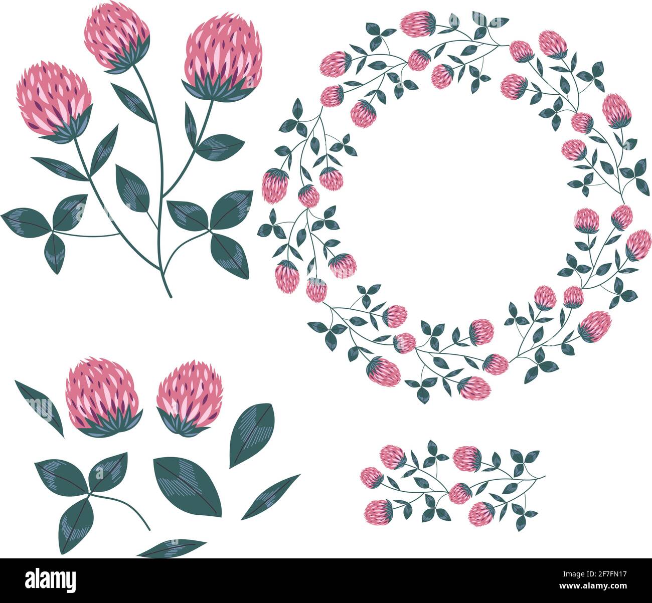 Rotes Kleeblatt. Wilde Wiesenblumen Cliparts isoliert Stock Vektor