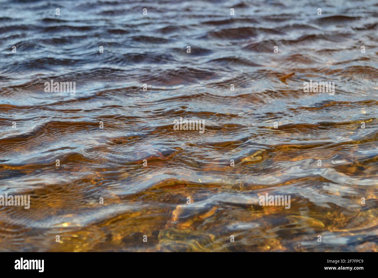Detaillierte Nahaufnahme der Wasseroberflächen mit Wellen und Wellen und dem Sonnenlicht, das an der Oberfläche reflektiert wird. Frühlingslandschaft Stockfoto
