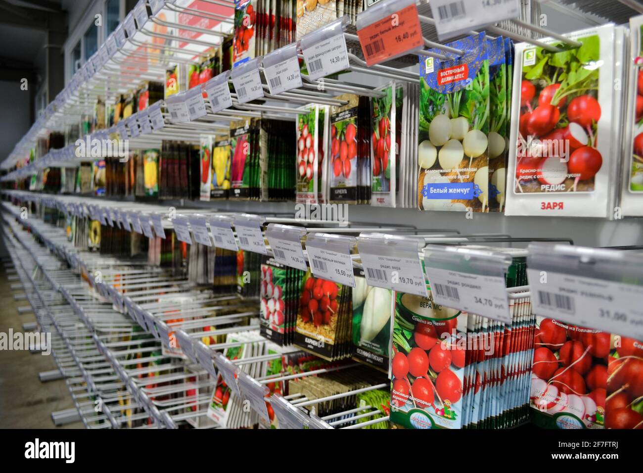 Moskau, Russland, Dezember 2019: Nahaufnahme eines Stands mit Papiertüten mit Samen verschiedener Arten von Rettich - weiß, rot, etc. Verkauf im Geschäft. Stockfoto