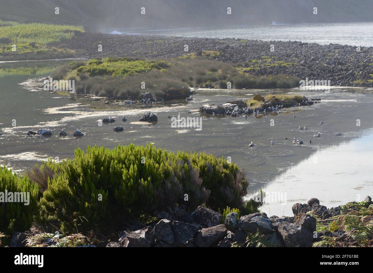 Die Küstenlagune Faja dos Cubres im Biosphärenreservat Fajas de Sao Jorge, Azoren-Archipel Stockfoto