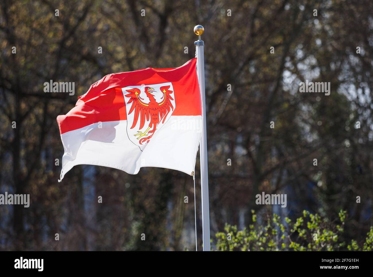 Potsdam, Deutschland. April 2021. Auf dem Dach eines Hauses eines Schottergartens weht die Flagge des Landes Brandenburg. Quelle: Soeren Stache/dpa-Zentralbild/ZB/dpa/Alamy Live News Stockfoto