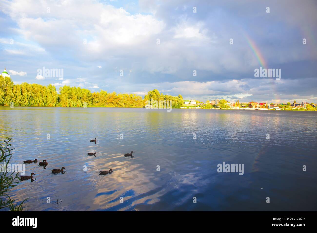 Regenbogen über einem ländlichen See mit schwimmenden Enten. Stockfoto