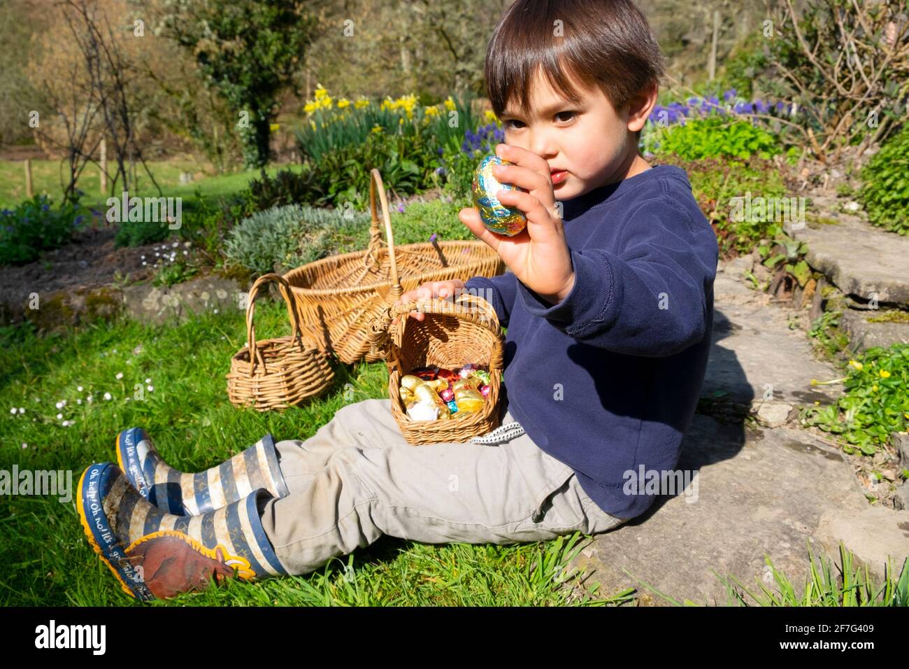 Kleiner Junge, der nach der Ostereiersuche im Garten sitzt Mit Korb mit Ostereiern, die großes Schokoladenei zeigen In seiner Hand Wales UK KATHY DEWITT Stockfoto