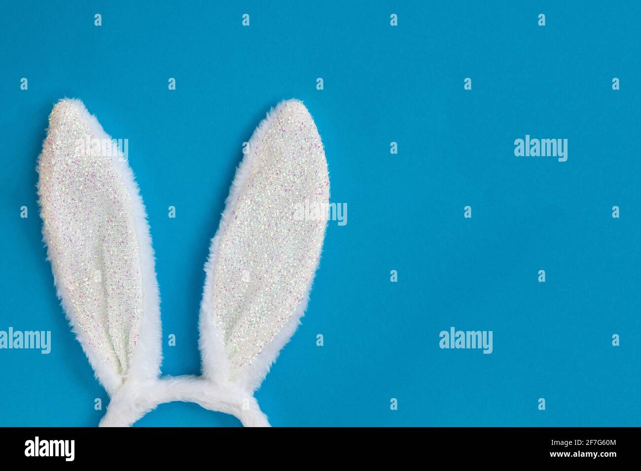 Kostüm Kaninchenohren. Flauschige Hasenohren isoliert auf blauem Hintergrund, Draufsicht, flach liegend. Stockfoto