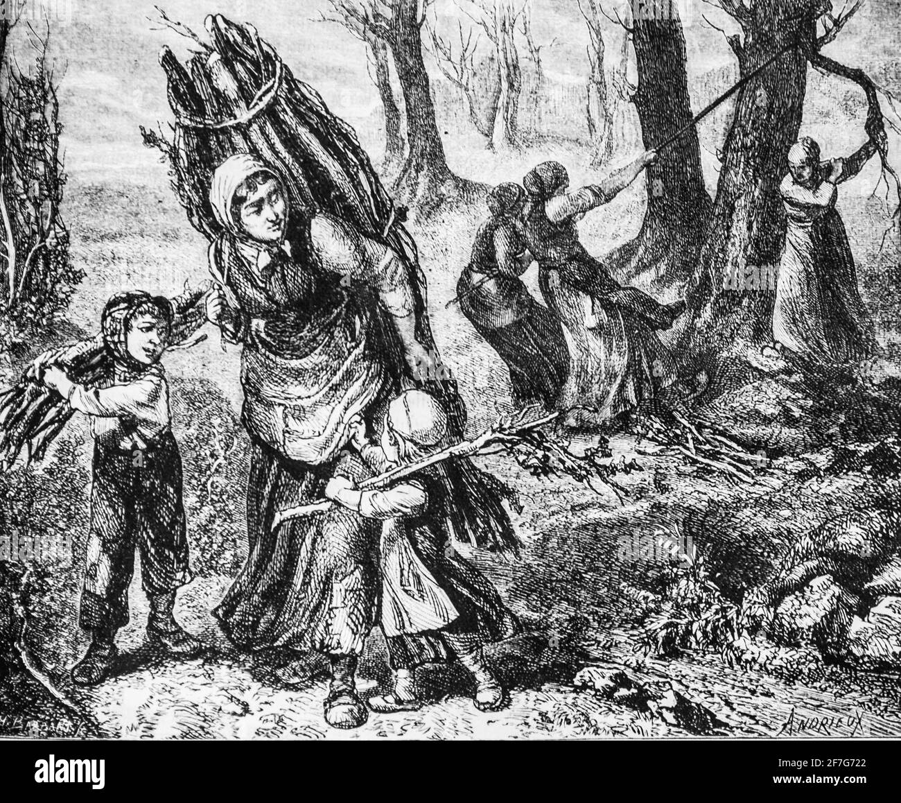 la recolte du bois mort, le Magazine pitoresque par edouard charton, 1870 Stockfoto