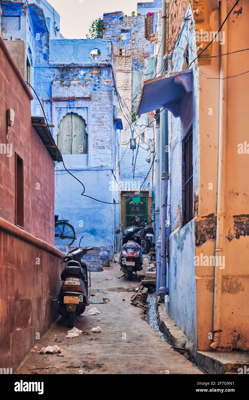 Blaue Häuser in den Straßen von Jodhpur Stockfoto