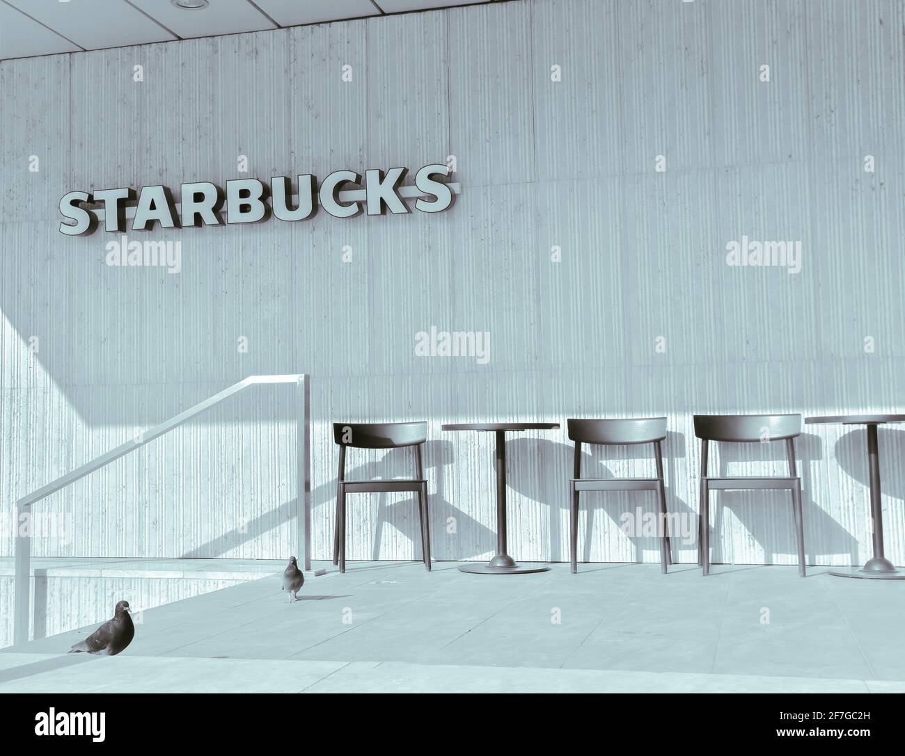 Die Terrasse des Starbucks Stores war während der Coronavirus-Sperre leer, keine Leute, leeres, leeres Café, Tauben im Starbucks, niemand Stockfoto