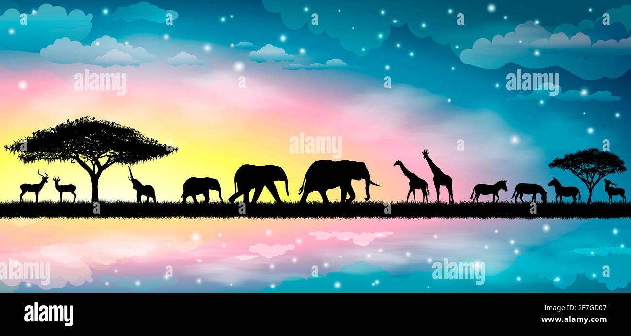 Silhouetten von Wildtieren der afrikanischen Savanne. Wunderschöner Sonnenuntergang. Himmel, Sterne, Wolken. Stockfoto