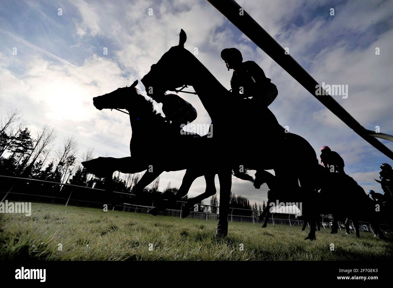 RENNEN IN NEWBURY. DIE ARKELL'S-HÜRDE. 27/2/2008. BILD DAVID ASHDOWN Stockfoto