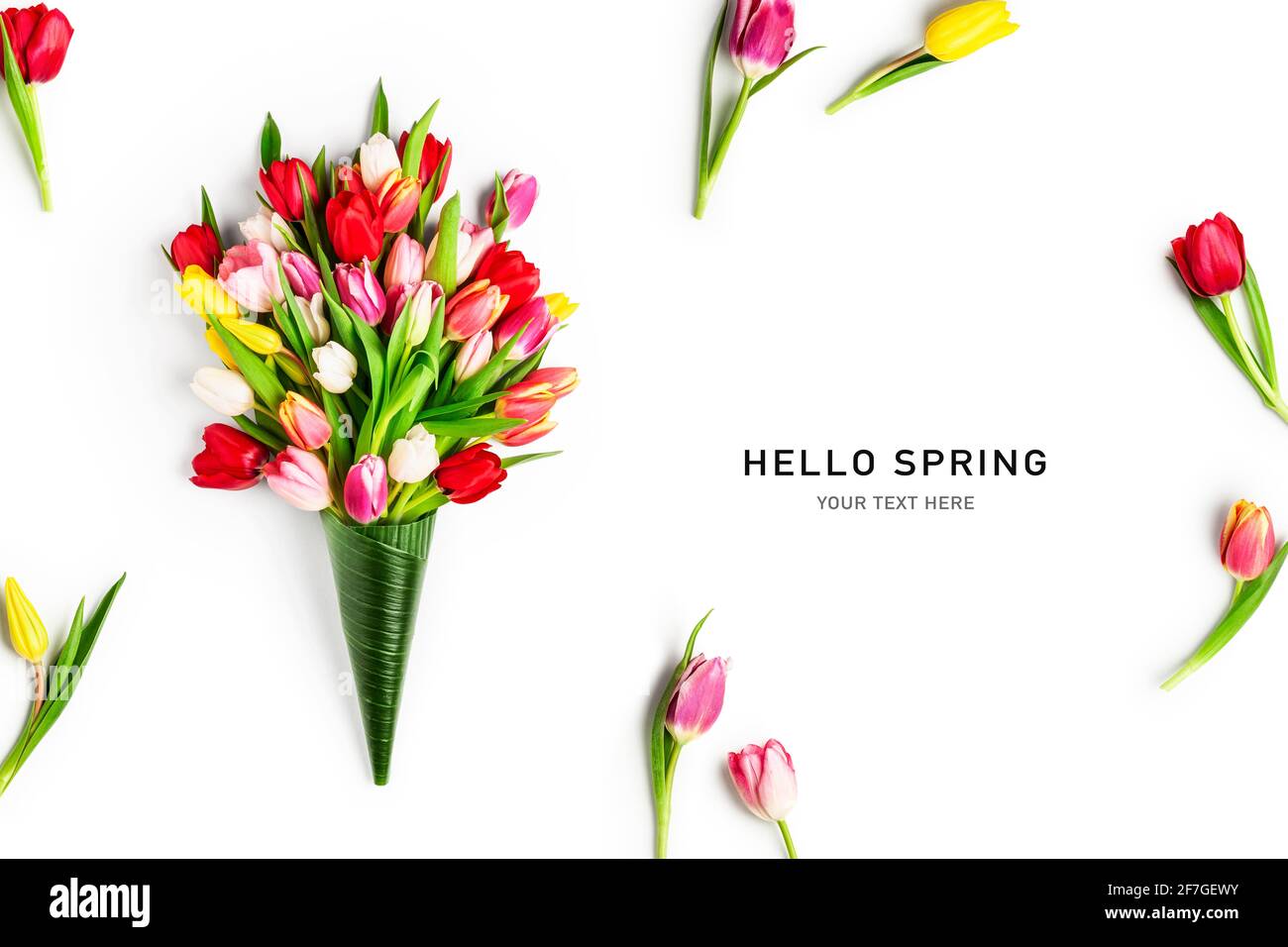 Kreatives Layout mit bunten Tulpenblumen isoliert auf weißem Hintergrund. Florale Komposition mit schönen frischen Tulpen. Hallo Frühling und ostern Konz Stockfoto