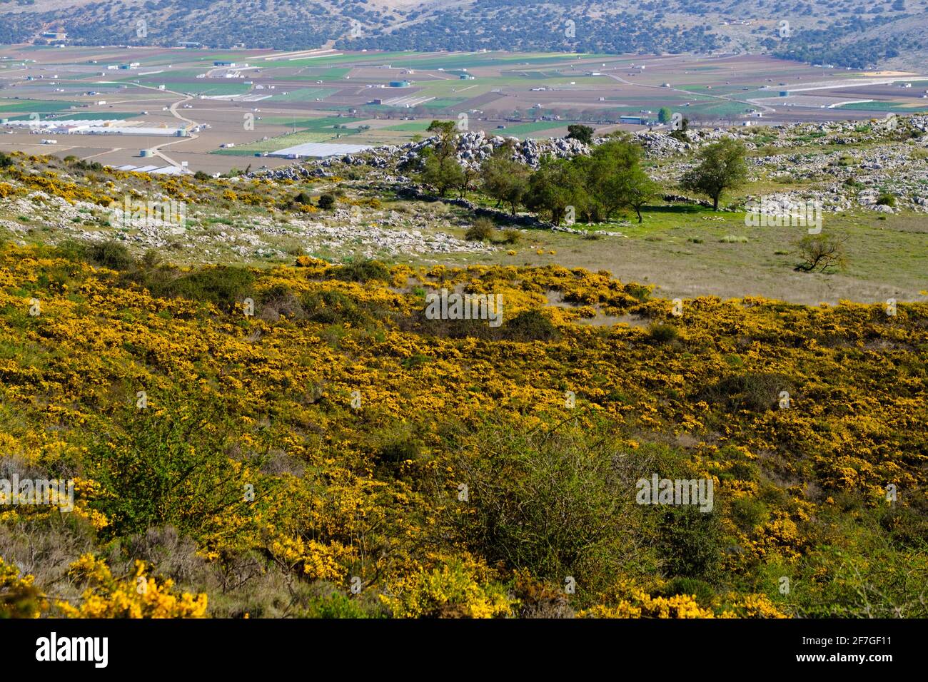 Wandern auf dem Wanderweg La Cuna oberhalb des Zafarraya-Passes zwischen Andalucía und Granada, Spanien, Europa Stockfoto