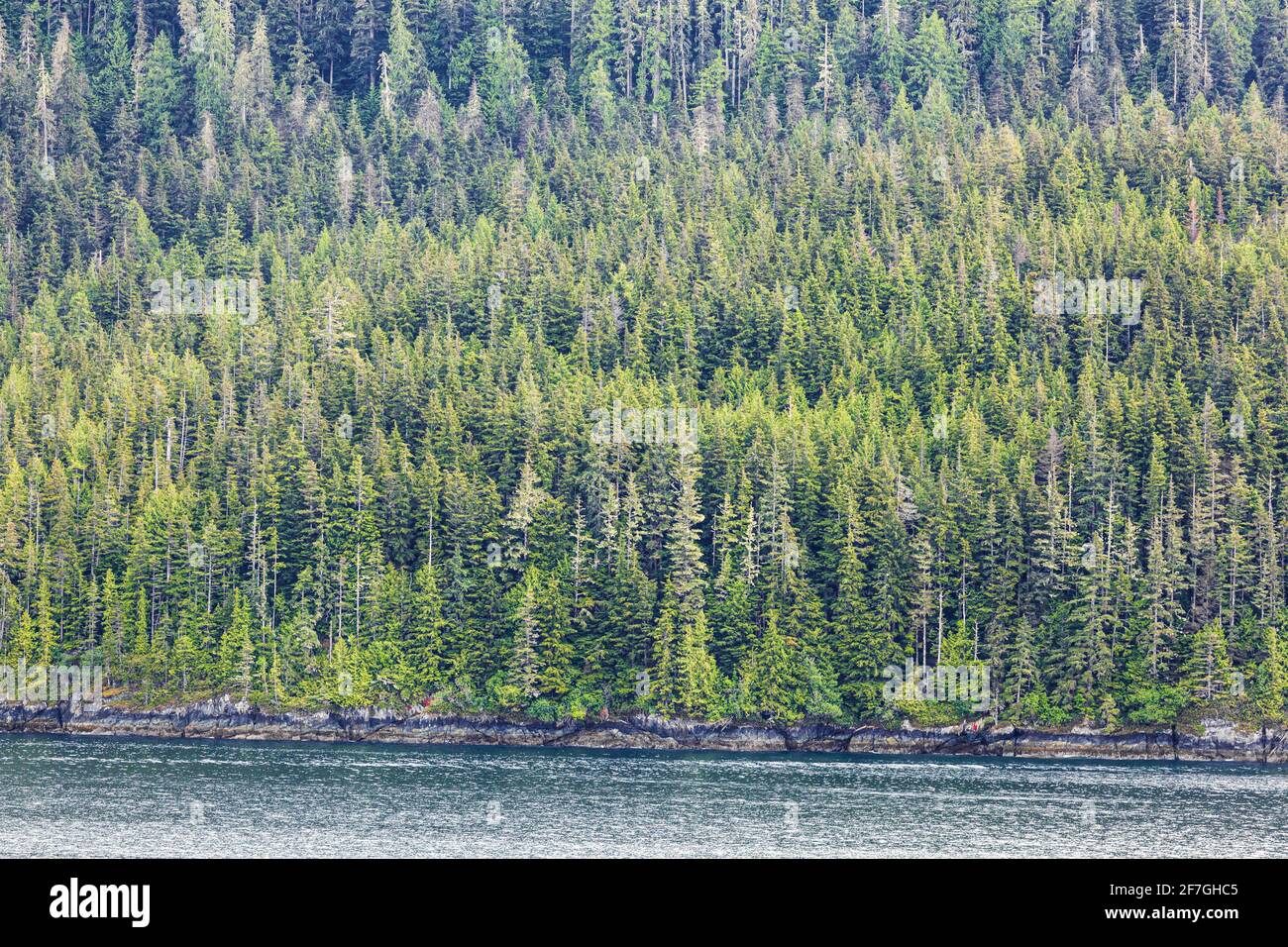 Die Inside Passage in der Johnstone Strait am nördlichen Ende von Vancouver Island, British Columbia, Kanada - von einem Schiff aus gesehen. Stockfoto