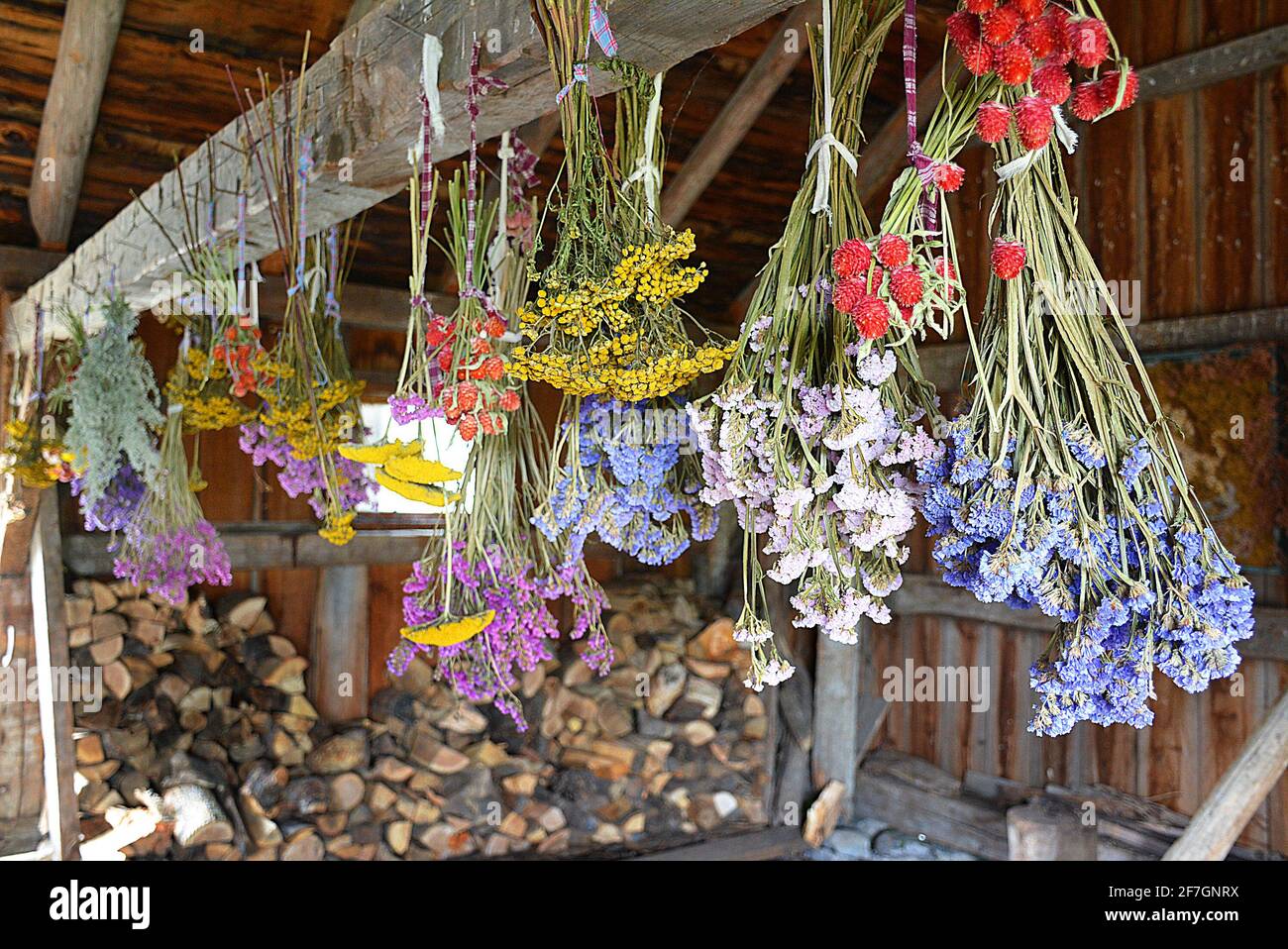 Trocknende Blumen Im Dorf Oberkanadas. Upper Canada Village 13740 County Road 2 ,Morrisburg, ON, K0C 1X0 das 1961 gegründete Upper Canada Village ist einer der größten Orte für Lebensgeschichte in Kanada. Das Leben in einem ländlichen englischen kanadischen Umfeld im Jahr 1866. Über vierzig historische Gebäude, viele zogen hierher, bevor die „Lost Villages“ während des St. Lawrence Seaway Entwicklungsprojekts überschwemmt wurden. Traditionelle landwirtschaftliche Techniken werden durch den Anbau von Gemüse und die Aufzucht von Tierrassen demonstriert. Stockfoto