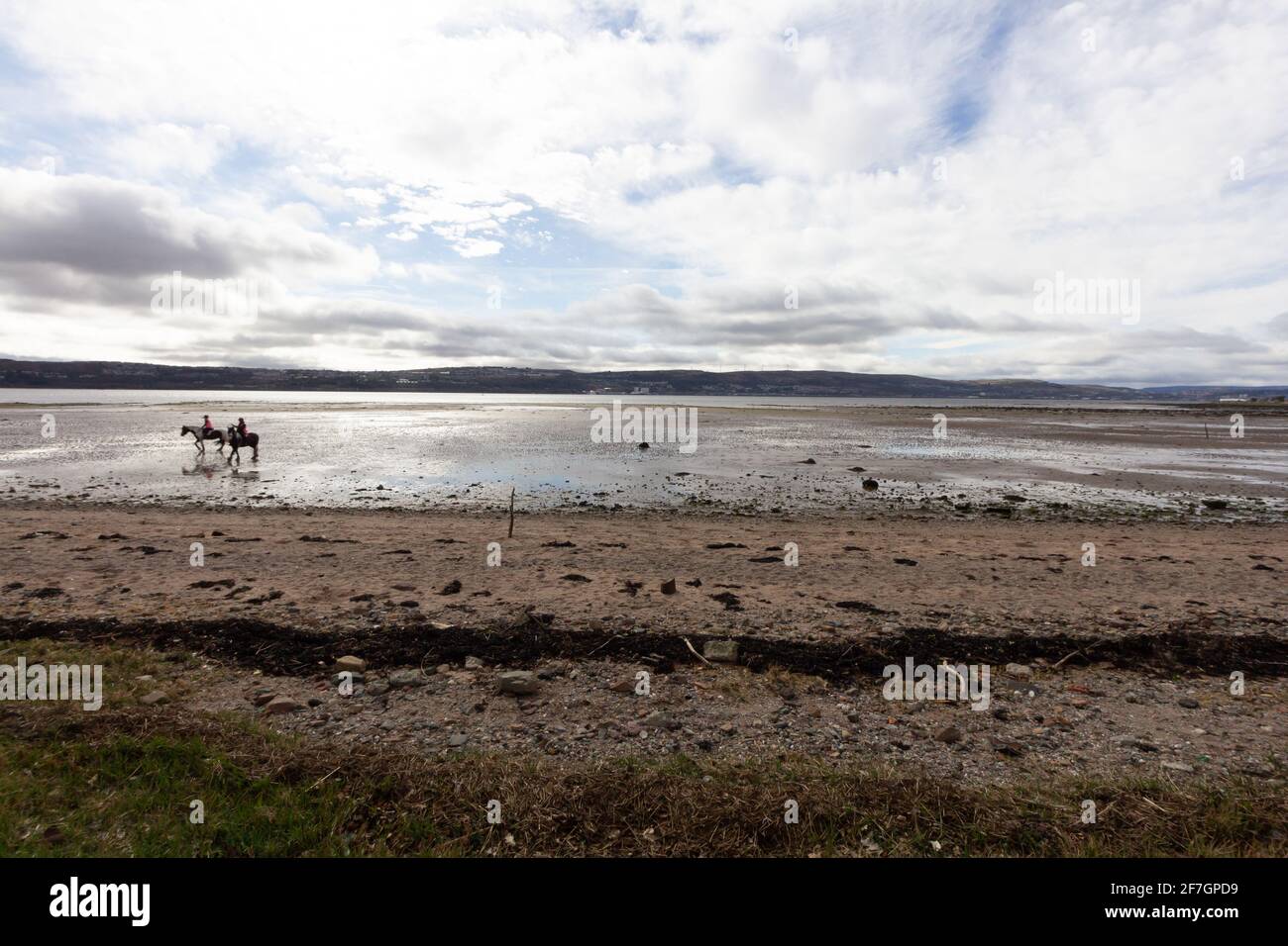 Reiten an einem schottischen Strand Stockfoto