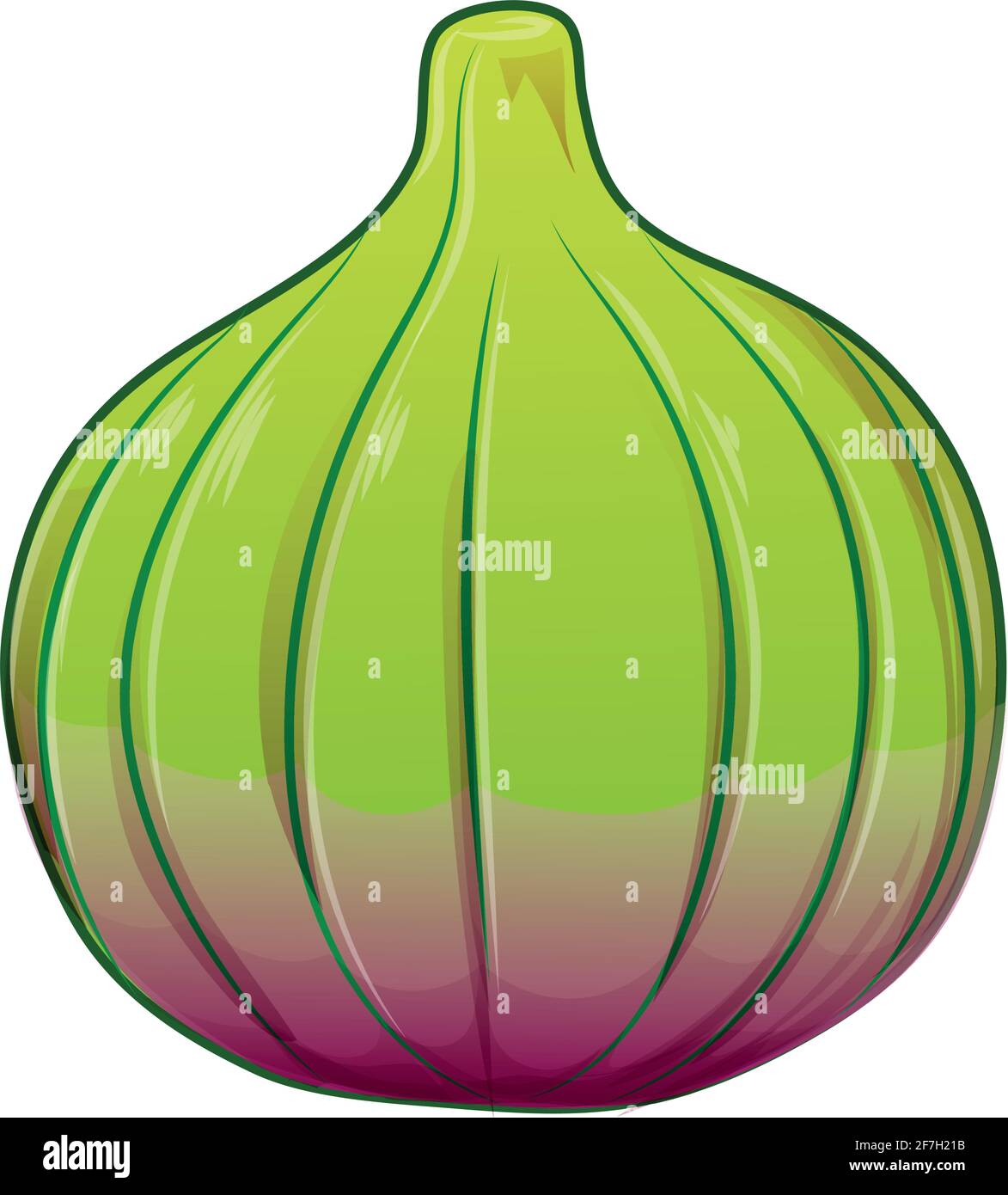Feige, lila ganze Frucht . Vektor-Illustration Cartoon flach isoliert auf weiß. Stock Vektor