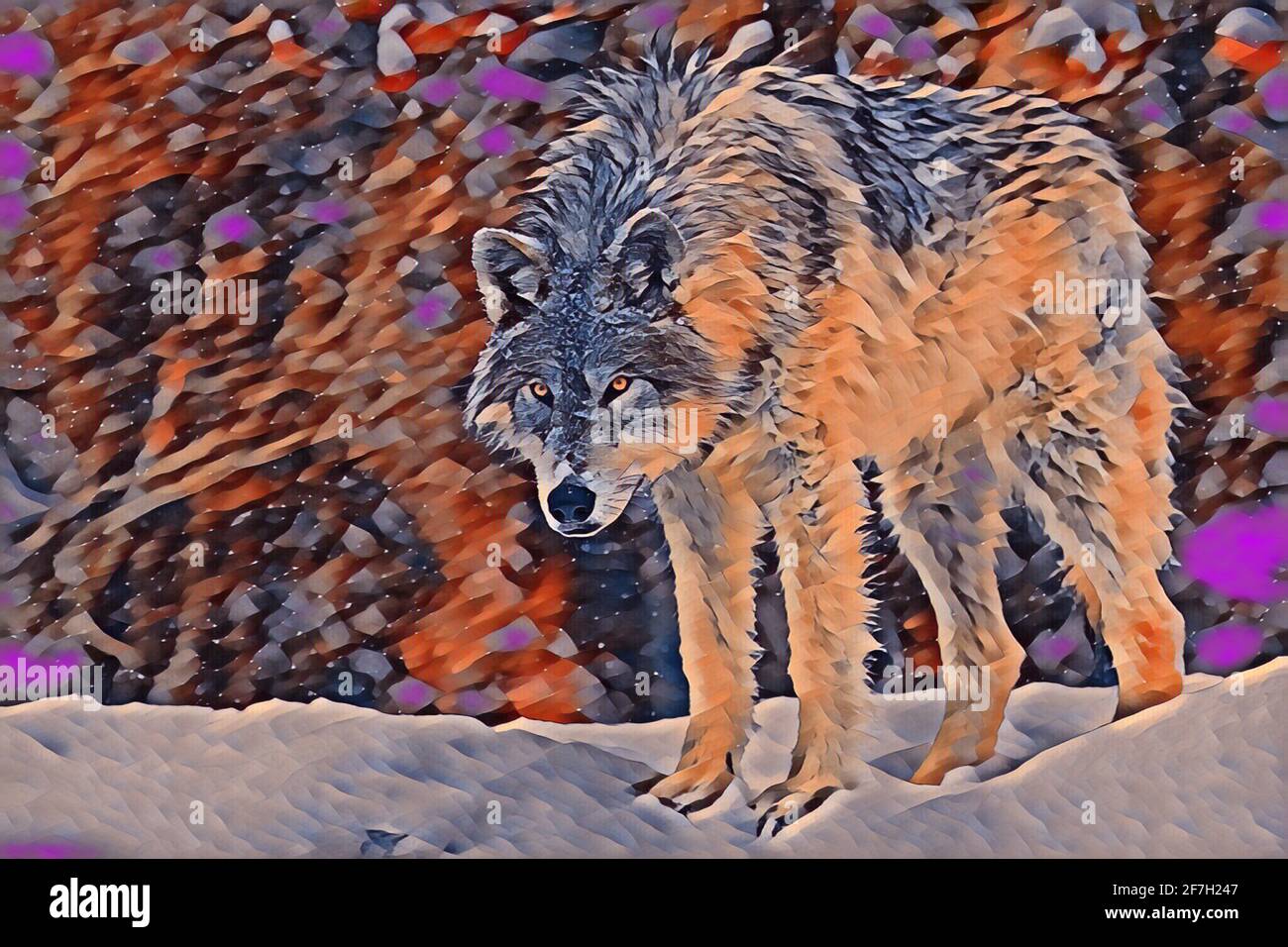 USA, Wyoming, Yellowstone National Park. Einsamer grauer Wolf (Canis Lupus) Digitale Kunst Stockfoto