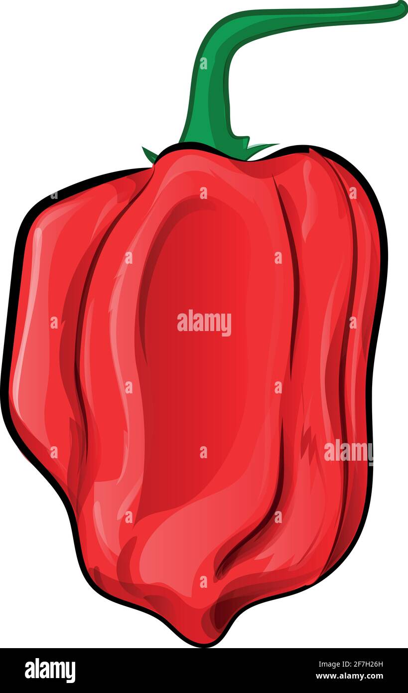 Rote habanero Clip Art Cartoon vetcor Illustration. Isoliert auf weißem Hintergrund Stock Vektor