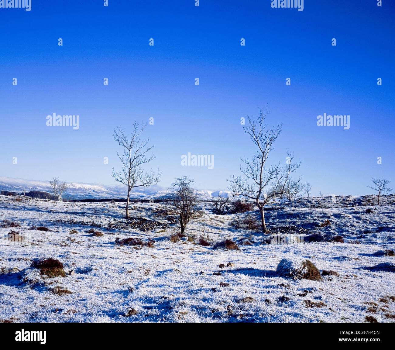 Der frostigen Schnee bedeckten Plateau von Scout Narbe auf eine klare, hell Wintertag in der Nähe von Kendal Cumbria Lake District, England Stockfoto