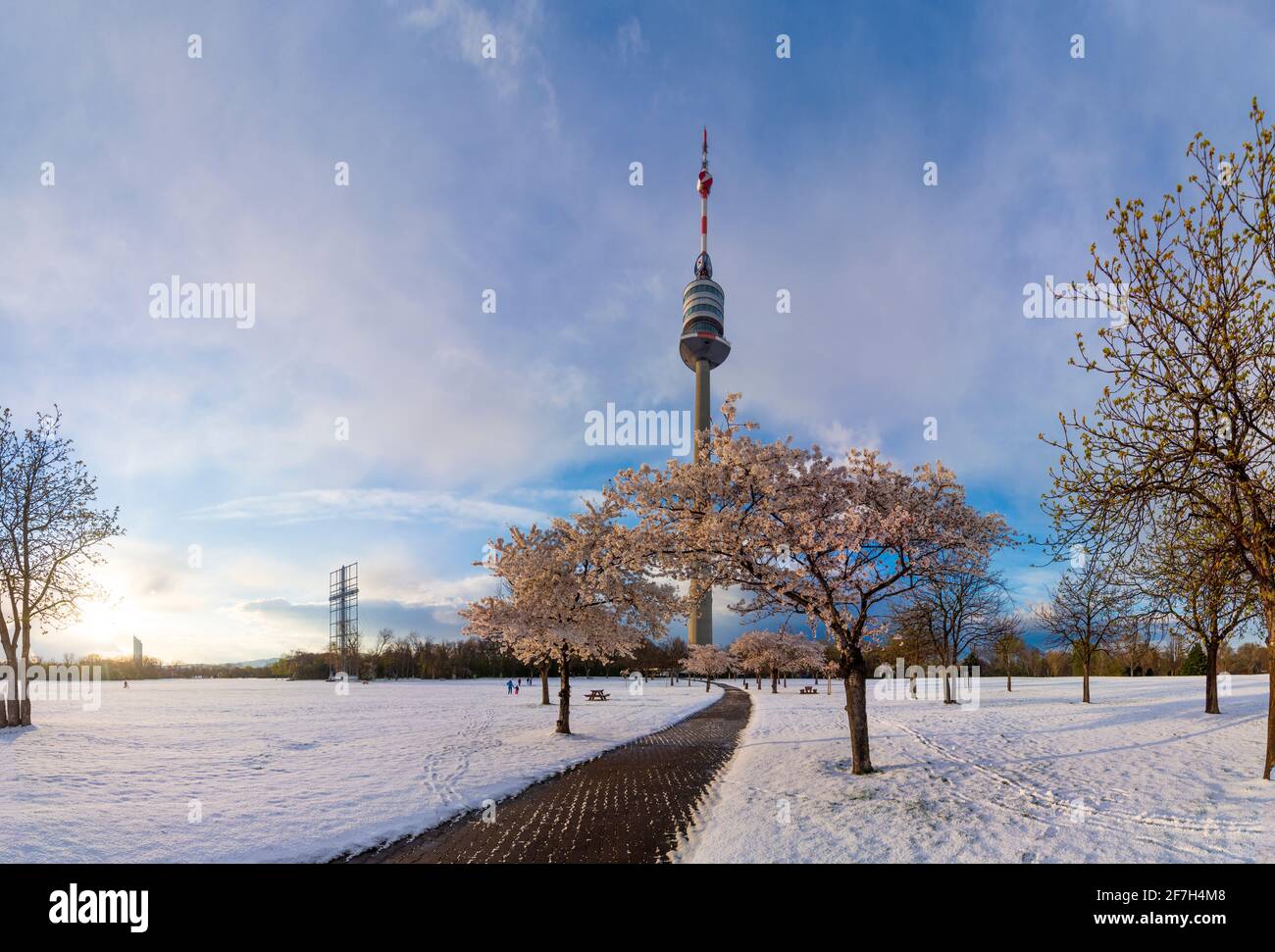 Wien, Wien: Kirschbaumblüte und Schnee im Park Donaupark, Donauturm im Jahr 22. Donaustadt, Wien, Österreich Stockfoto