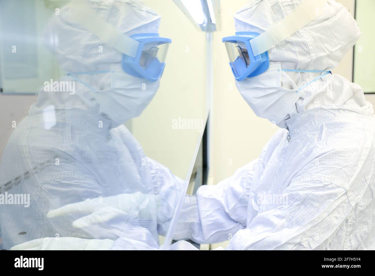 Laborwissenschaftler tragen Schutzkleidung und forschen in einem Wissenschaftslabor. Stockfoto