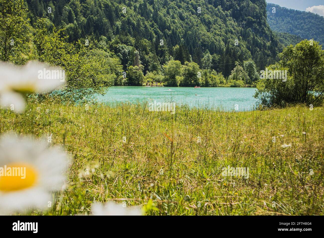 Ausgeblutetes Herz Stockfotos Und Bilder Kaufen Alamy