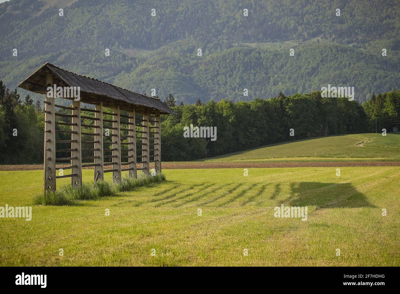 Auf der Sommerwiese in der region gorenjska steht der traditionelle slowenische Heuschreck. Rechts wird der Schatten eines Heuschrecks auf das Gras geworfen. Stockfoto