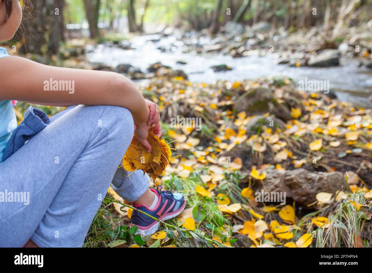 Das kleine Mädchen schnappt sich eine Handvoll gelber Blätter am Bergfluss. Kinder- und Herbstjahreskonzept Stockfoto