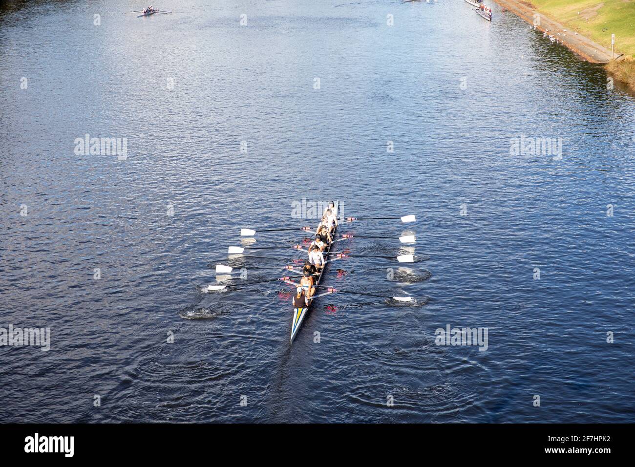 Ruderboot und Team auf dem yarra River in Melbourne Stadtzentrum, Victoria, Australien Stockfoto