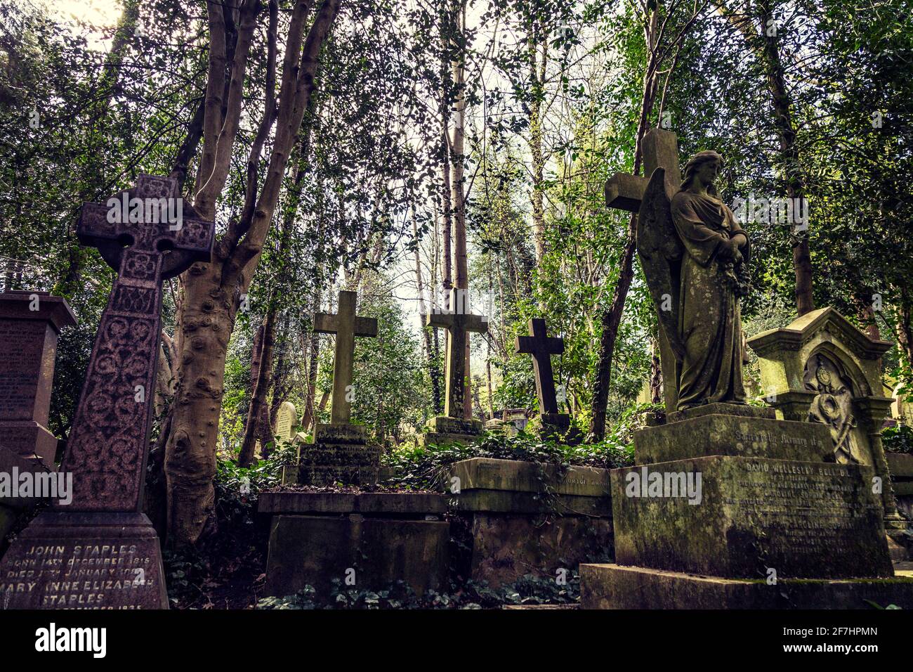 Kreuze, Gräber und Grabsteine auf dem historischen Victorian Highgate Cemetery West, North London, Großbritannien Stockfoto