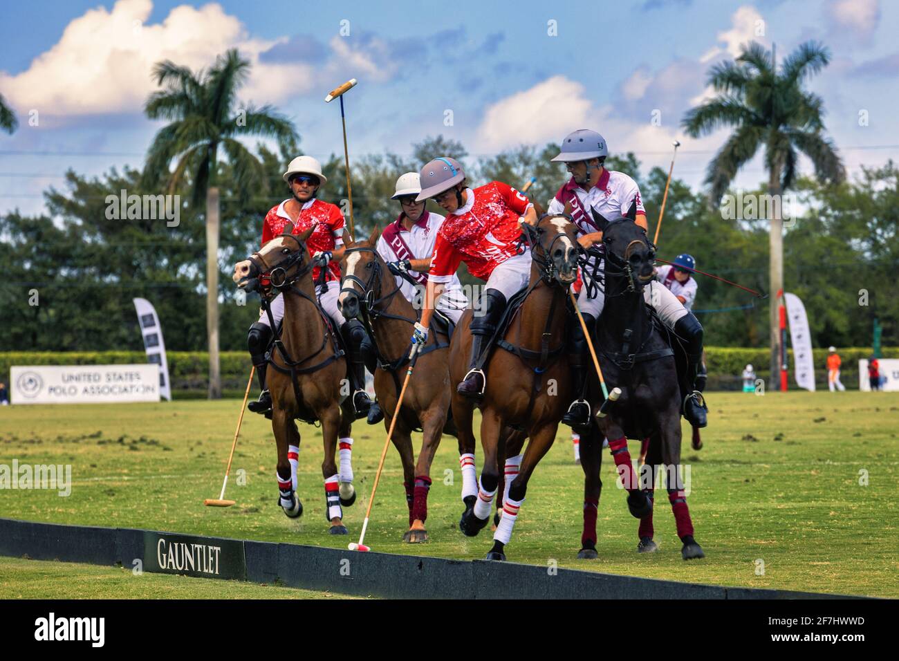 WEST PALM BEACH, FL - 14. MÄRZ 2021: Coca Cola spielt den Ball gegen das Pilot Polo Team während des USPA Gold Cup im International Polo Club Stockfoto
